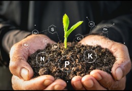 食品原料小百科：植物中能用PQQ嗎？