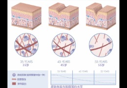 水潤皮膚的秘密武器，乙酰殼糖胺和透明質(zhì)酸的甜蜜聯(lián)盟！