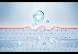 護(hù)膚品滲透和吸收是一回事嗎？