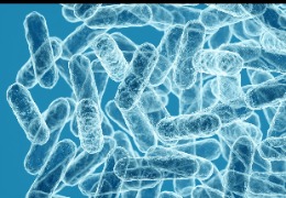 食品加工環(huán)境微生物監(jiān)控如何采樣（上）